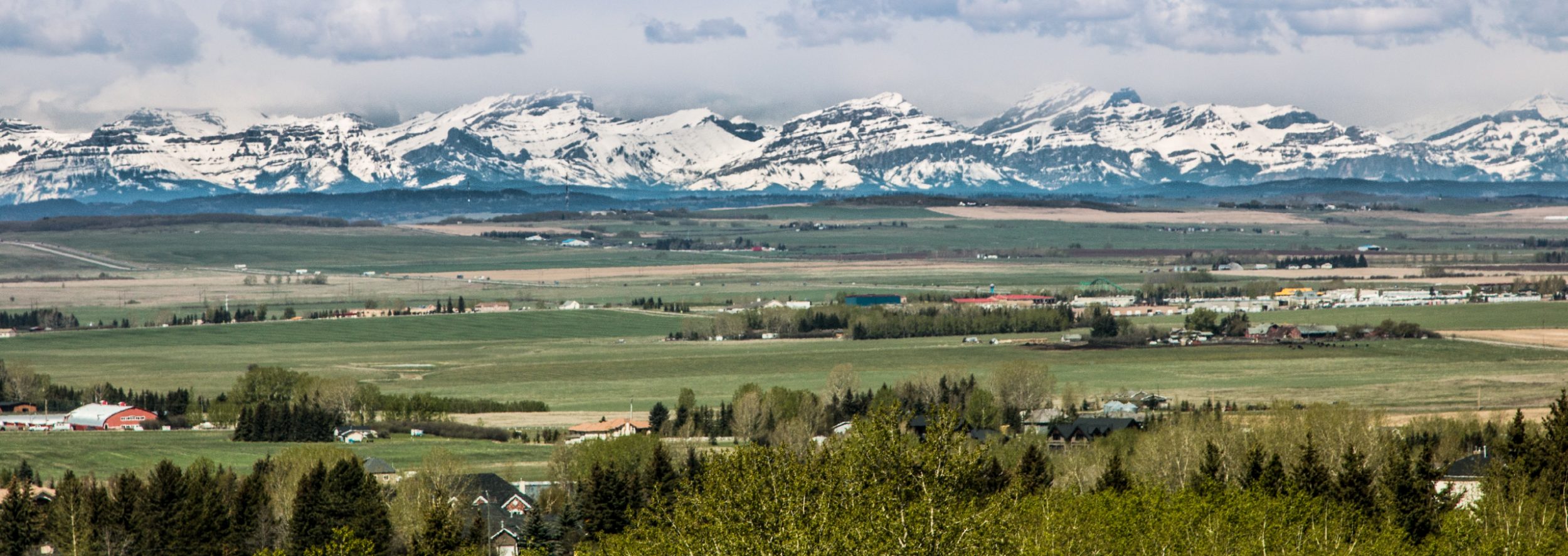 Local Calgary Neighbourhoods